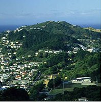 Properties in Mount Albert Auckland Properties in Mount Albert Auckland