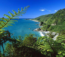 Properties in West Coast New Zealand Properties in West Coast New Zealand